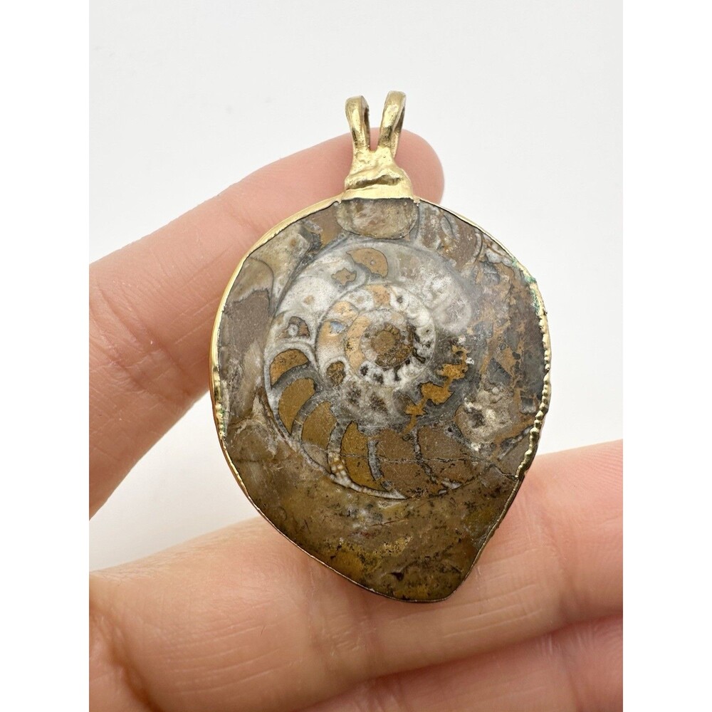Ammonite Fossil Pendant Gold Tone